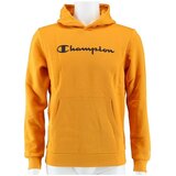 Champion Big Logo Print Narančasta Cijene