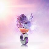 Bvlgari Omnia Amethyste toaletna voda za žene 65 ml | shoptok.hr
