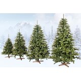  Ct0187 kavkaska smrekova drva premium 220 cm | shoptok.hr
