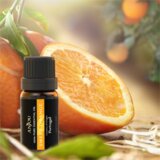 Anjou esencialen set olj 6 x 10ml | Shoptok.si
