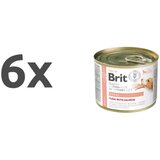 Brit veterinary diet Brit GF Veterinarska dieta za pse Renal, 200g 6 x 200 g | Shoptok.si