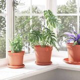  Kružni Pladanj za Cvijeće 24 pcs Crvena cigla Ø 14 x 2 cm | shoptok.hr