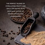 Baylis & Harding Black Pepper & Ginseng poklon set (kozmetička torbica) za muškarce | shoptok.hr