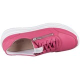 Legero Sprinter sarena | shoptok.hr