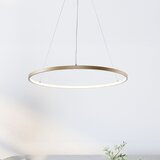 Zuma line 2023201-GD80 - led luster na sajli breno LED/36W/230V 3000/4000/6000K | Eponuda.com