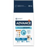 Advance Adult Maxi - piščanec in riž 14 kg | Shoptok.si
