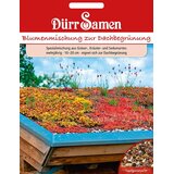 Dürr Samen Cvetlična mešanica za zelene strehe | Shoptok.si