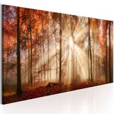  Slika - Autumnal Dawn 135x45 | shoptok.hr