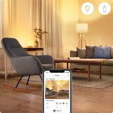 Wiz LED pametna žarulja E27, 7 W – | shoptok.hr