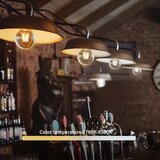 Aigostar led prigušiva sijalica filament G125 E27/6W/230V 2700-6500K wi-fi | Eponuda.com