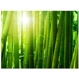  Tapeta - Sun and bamboo 400x309 | shoptok.hr