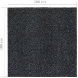  Dugi tepih za hvatanje nečistoće 100 x 100 cm antracit | shoptok.hr