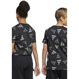 Adidas J clbrtn tee