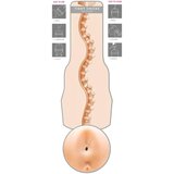 Fleshlight Maitland Ward - masturbator zadnjice | Shoptok.si
