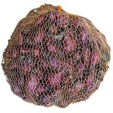  Lučice luka Red Baron (Botanički opis: Allium cepa, Berba: Kolovoz - Rujan, 1 kg) | shoptok.hr