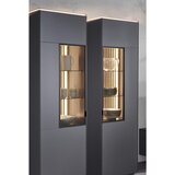 Dieter Knoll VITRINA, hrast antracit | Shoptok.si