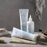Paul Mitchell Awapuhi Wild Ginger HydraSoft Shampoo vlažilni šampon 250 ml | Shoptok.si