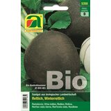 AUSTROSAAT Bio redkev "Wiener runder Kohlschwarzer" Cene