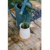 La Rochére Krem vrč za mlijeko od kamenine 200 ml Abeille – | shoptok.hr