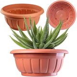 KADAX Pokrov za cvetlični lonček, skleda za pokopališko rože, plastika, pokopališko cvetje, 34 cm, (5000350838) Cene
