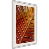  Poster - Bronze Leaf 40x60 | shoptok.hr