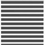 vidaXL zebra senčilo črna 150x150 cm tkanina širina 145,9 cm poliester | Shoptok.si