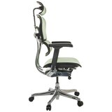 MID.YOU Pisarniški Stol Ergohuman I, Zelena | Shoptok.si