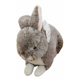  Zec 25cm | shoptok.hr