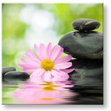  Slike na platnu feng shui (moderne slike na platnu) | ePonuda.com