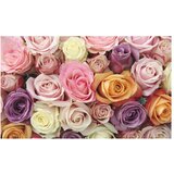  Tapeta - Pastel roses 450x270 | shoptok.hr