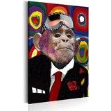 Slika - Mr. Monkey 60x90 | shoptok.hr