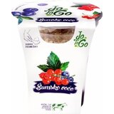 Jotogo Grčki jogurt šumsko voće 150g | ePonuda.com