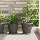  Krožni cvetlični pladenj 24 pcs Črna Ø 19 x 2 cm Plastika, (5000207712) | Shoptok.si