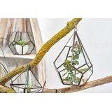  Stekleni terarij - velika piramida - Božič - Za 30 let - Home warming | Shoptok.si