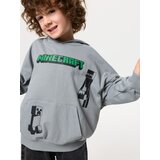 Sinsay Hoodie s tiskom Minecraft Slike