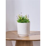 Sinsay Ukrasna umjetna biljka | shoptok.hr