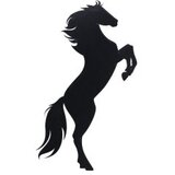 WALLXPERT zidna LED dekoracija Wild Horse Red | ePonuda.com