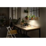 Osram LED prigušiva stona lampa OFFICE LINE LED/7W/230V bela | Eponuda.com