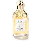 Guerlain Aqua Allegoria Mandarine Basilic toaletna voda polnilna za ženske 125 ml Cene