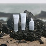 Paul Mitchell Awapuhi Wild Ginger HydraSoft Condicioner hidratantni regenerator 250 ml | shoptok.hr