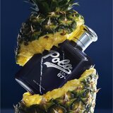 Polo Ralph Lauren Polo 67 parfemska voda za muškarce 125 ml | shoptok.hr