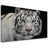 Slike na platnu životinje (moderne slike na platnu)  Slike na platnu životinje (moderne slike na platnu) Slike