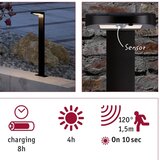  Vrtna svetilka ryse-s IP44 s senzorjem antracit, 100LM, talna | Shoptok.si