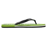 4f Japonke KLM006 pisana | Shoptok.si