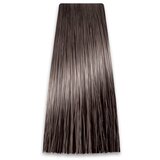 Prosalon farba za kosu colorart 8/12
