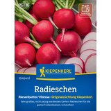  Redkvica "Riesenbutter/Vitessa" - 1 pkt. | Shoptok.si