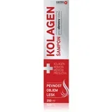 Kolagen Shampoo šampon za poškodovane in krhke lase 250 ml