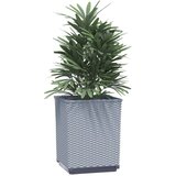  Sadilice 2 kom svjetlosive 30 x 30 x 37 cm od polipropilena | Eponuda.ba