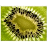  Tapeta - fruits: kiwi 250x193 | shoptok.hr