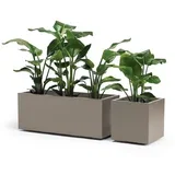 Greener KEBE 3157.G9 kontejner za biljke plastika taupe